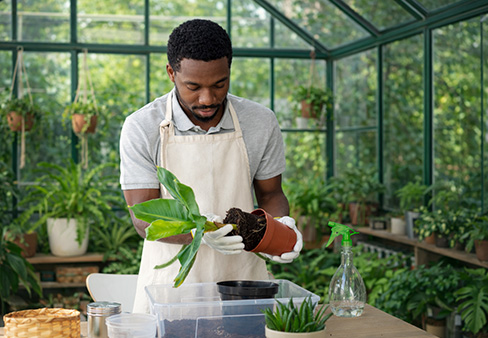 Green Skills for Successful Careers